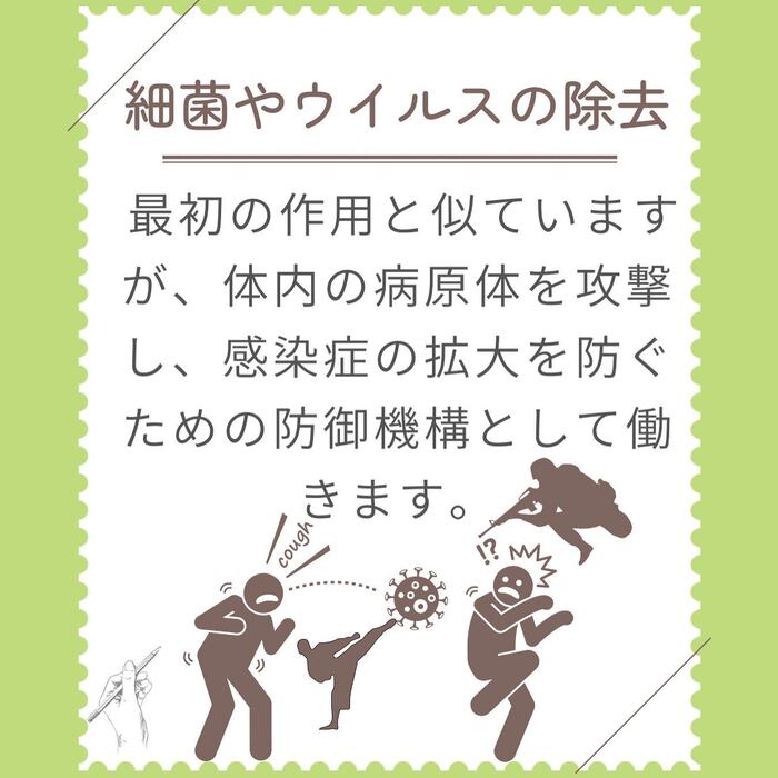 画像276