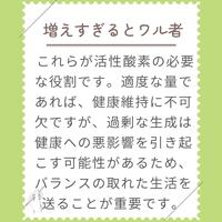 画像277