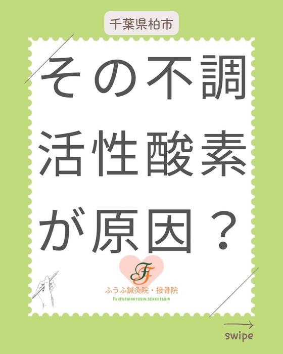 画像286