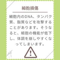 画像289
