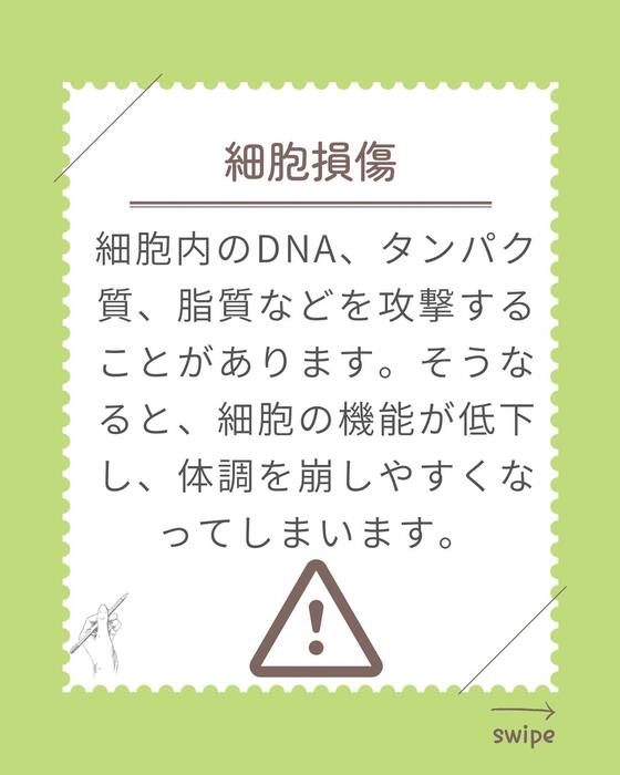 画像289