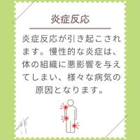 画像290