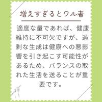 画像294