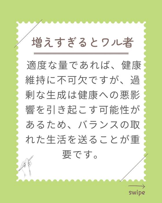 画像294