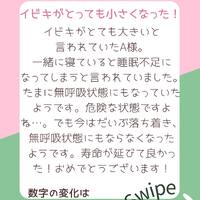 画像646