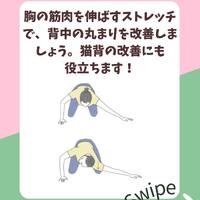 画像833
